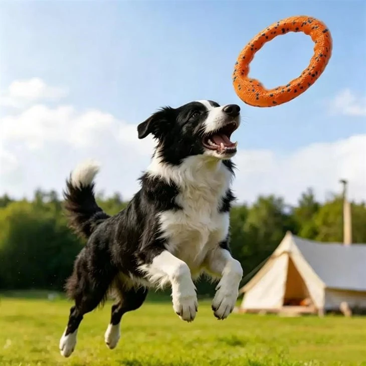 Custom ETPU Pet Toys Custom ETPU Pet Toys