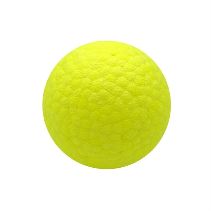 Interactive Dog Toy Ball