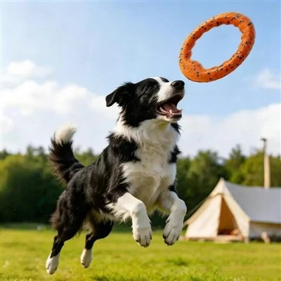 Materials used to make pet toys
