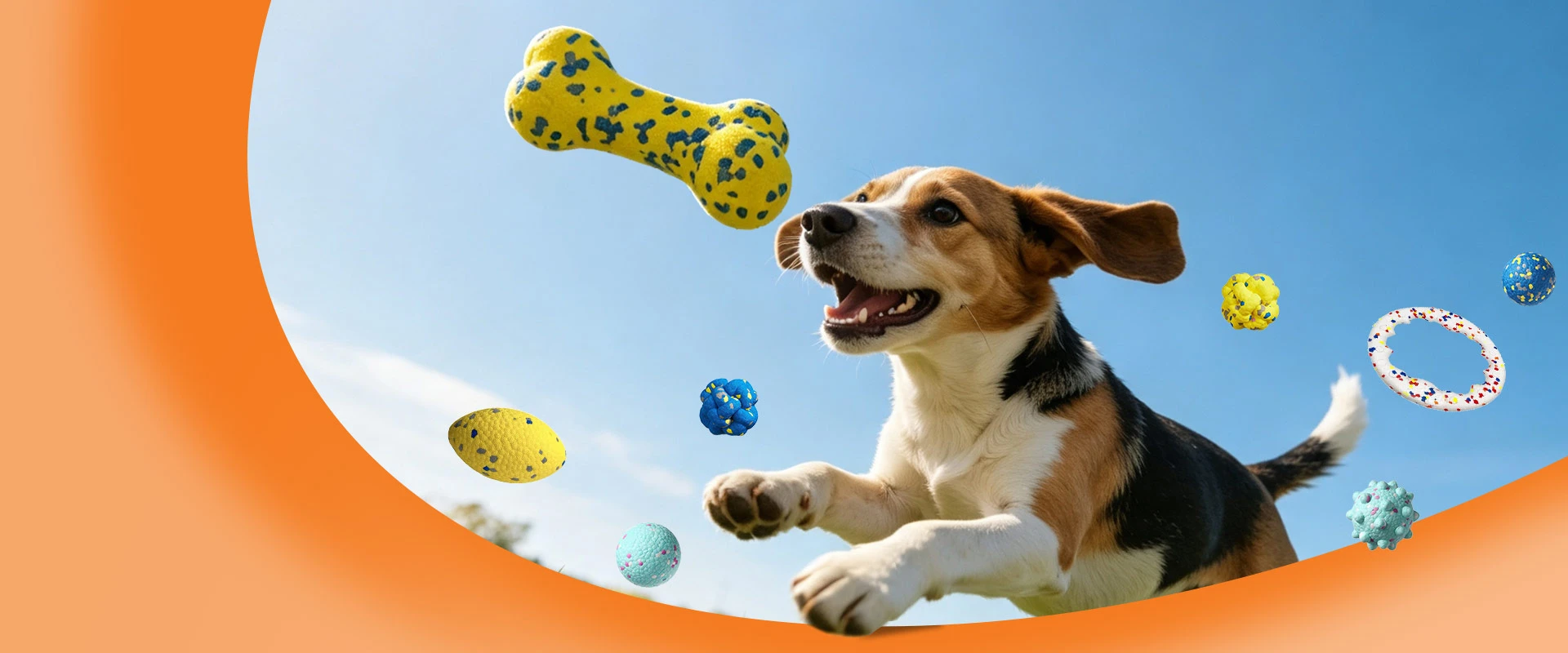 Durable ETPU Pet Toys Built for Endless Play