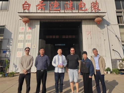 Yixing Baiyun Welcomes Austrian Customers