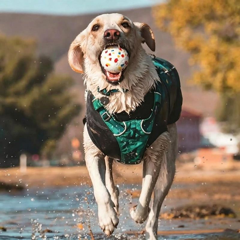 ETPU Dog Toy Ball ETPU Dog Toy Ball