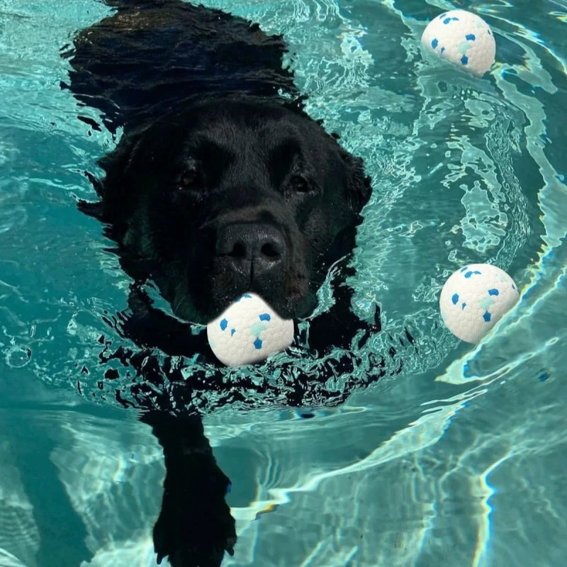 Wholesale Dog Toys Wholesale Dog Toys