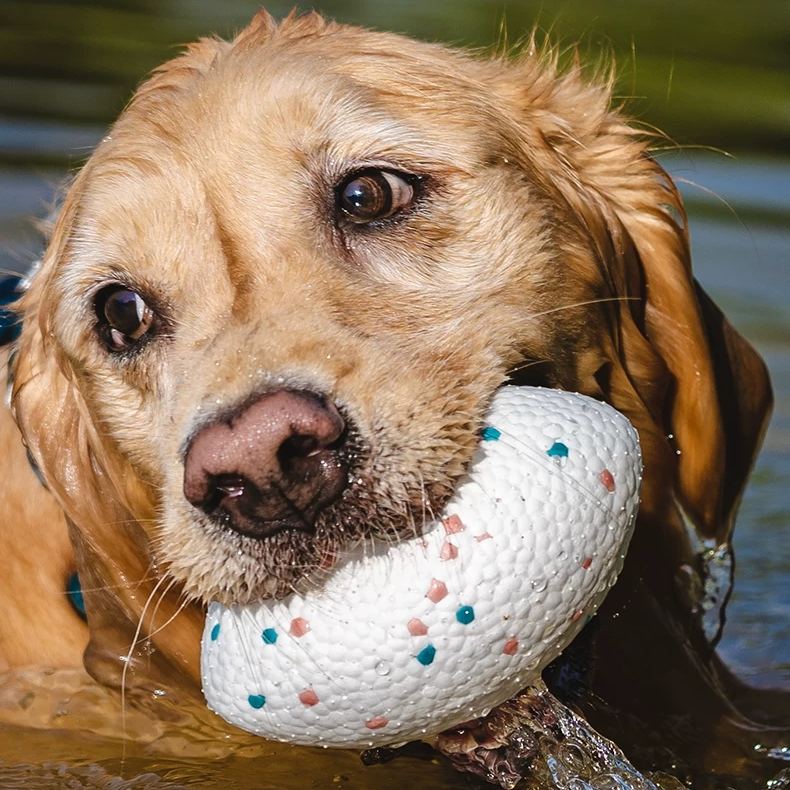 Dog Fetch Toy Dog Fetch Toy