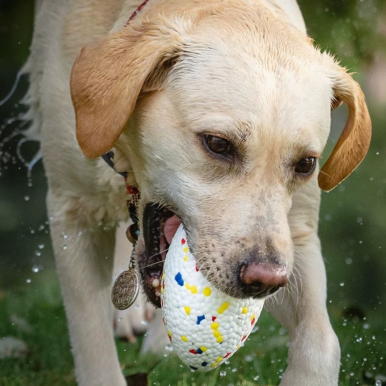 Outdoor Dog Toy Outdoor Dog Toy
