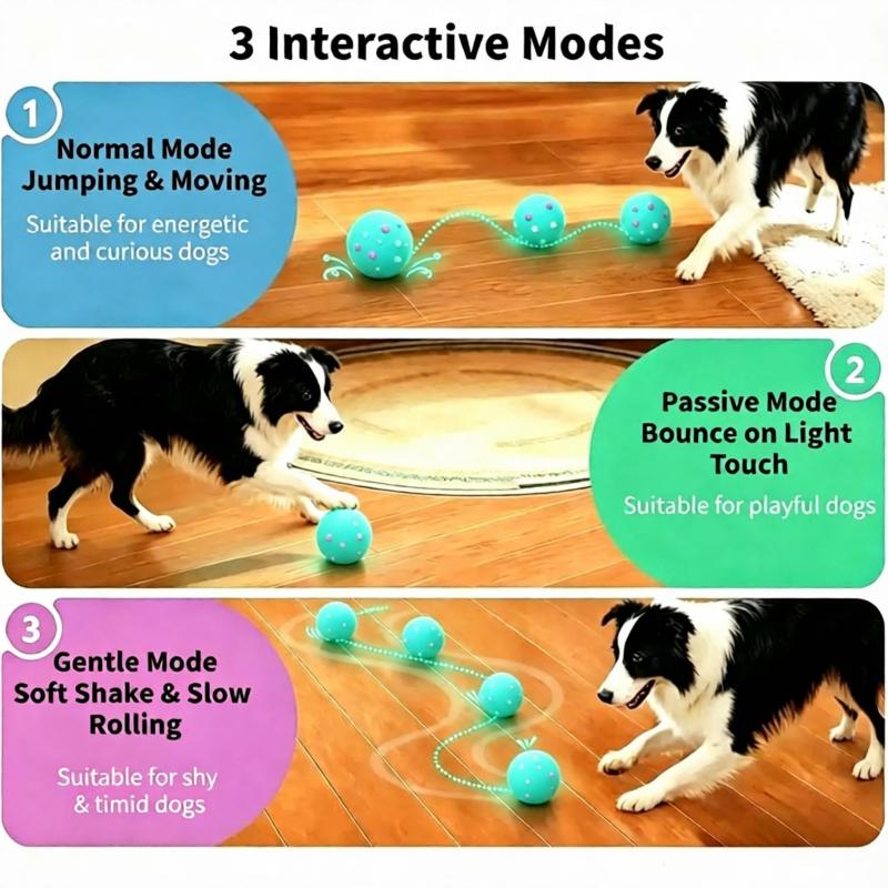 Motorized Pet Toy Motorized Pet Toy