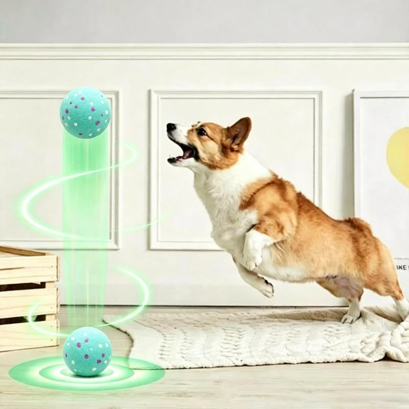 Electric Dog Ball Electric Dog Ball
