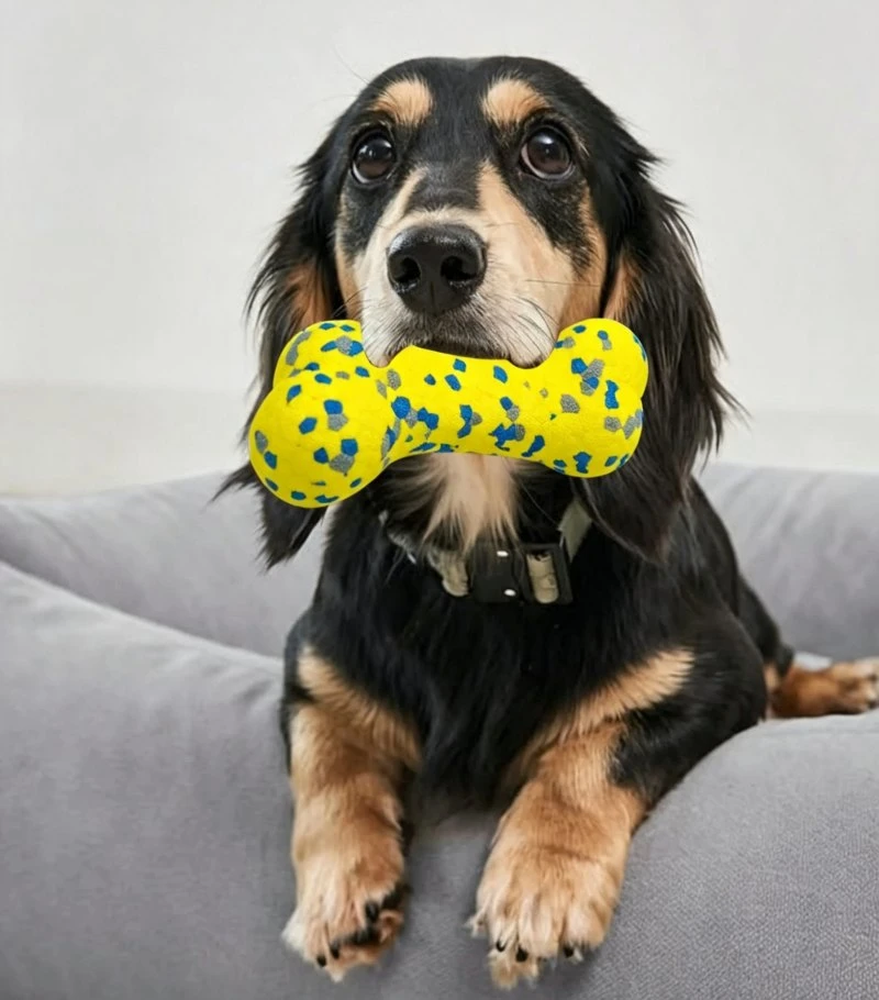 Puppy Chew Toy