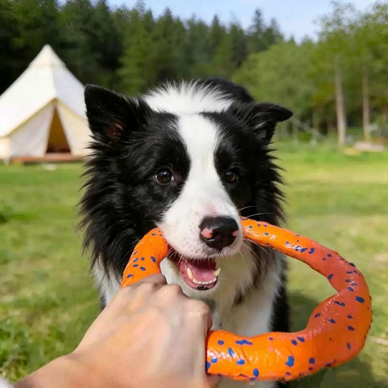 Dog Flying Disc Toy